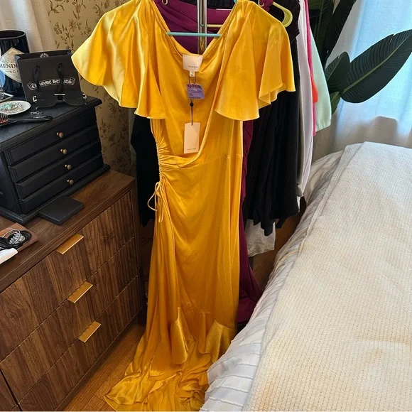 NWT Cinq a Sept Patti silk high-low gown sz 4 - Picture 3 of 11